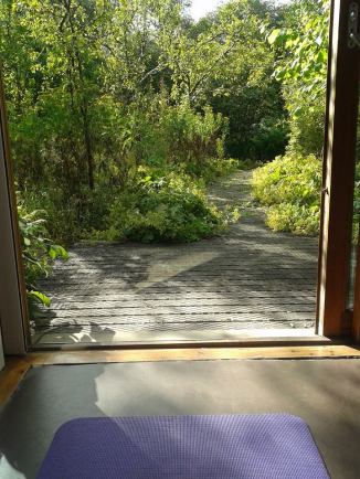 Yoga at Homeopathic Hospital