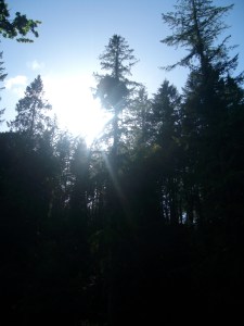 PENTACON DIGITAL CAMERA